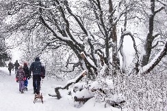 EVROPA JE U KANDŽAMA LEDENE ZVERI U Hrvatskoj -13, najavljena olujna bura
