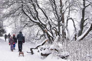 EVROPA JE U KANDŽAMA LEDENE ZVERI U Hrvatskoj -13, najavljena olujna bura
