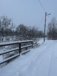 ''SVOJIM OČIMA SAM VIDEO'' Zver sama tumara ulicama, meštani srpskog sela uznemireni (VIDEO) 