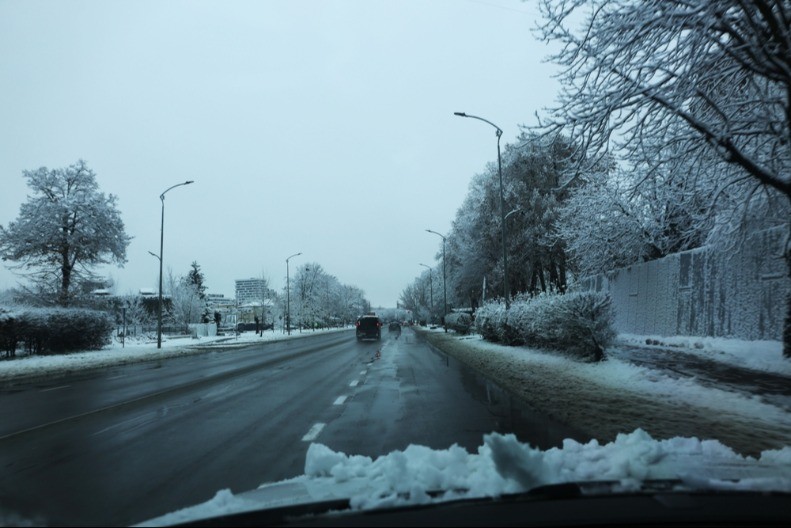 PRELEP PRIZOR IZ ZAVEJANE PRIBOJSKE BANJE Veličanstvene ptice napustile prirodno stanište 