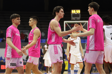 DRAMA KAKVOJ SE MALO KO NADAO Avion sa igračima Mege se hitno vratio za Beograd
