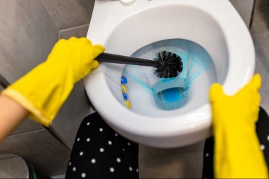 SIPAJTE OVAJ PRAH I PUSTITE VODU: WC šolja će blistati, ne morate čak ni četku da koristite