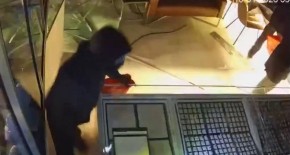  PLJAČKU SNIMILE SIGURNOSNE KAMERE Akcija trajala je svega dva minuta, a lopovi odneli oko šest kilograma zlata i dragulja (VIDEO)