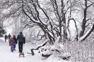 I PO NAJVEĆEM MINUSU ŠTEDE NA GREJANJU Ovu stvar Rusi rade čim zimi uđu u kuću