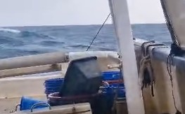 HOROR NA JADRANU Ribari upali u „MRTVO MORE“ kod Mljeta – snimak ledi krv! (VIDEO)