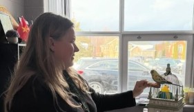 MOGLO JE LOŠE DA SE ZAVRŠI Odbegla ptica napravila haos - sletela devojčici na glavu, evo gde je na kraju završila!