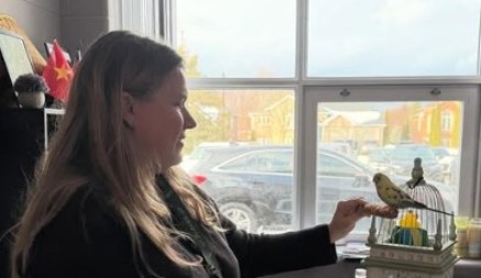 MOGLO JE LOŠE DA SE ZAVRŠI Odbegla ptica napravila haos - sletela devojčici na glavu, evo gde je na kraju završila!