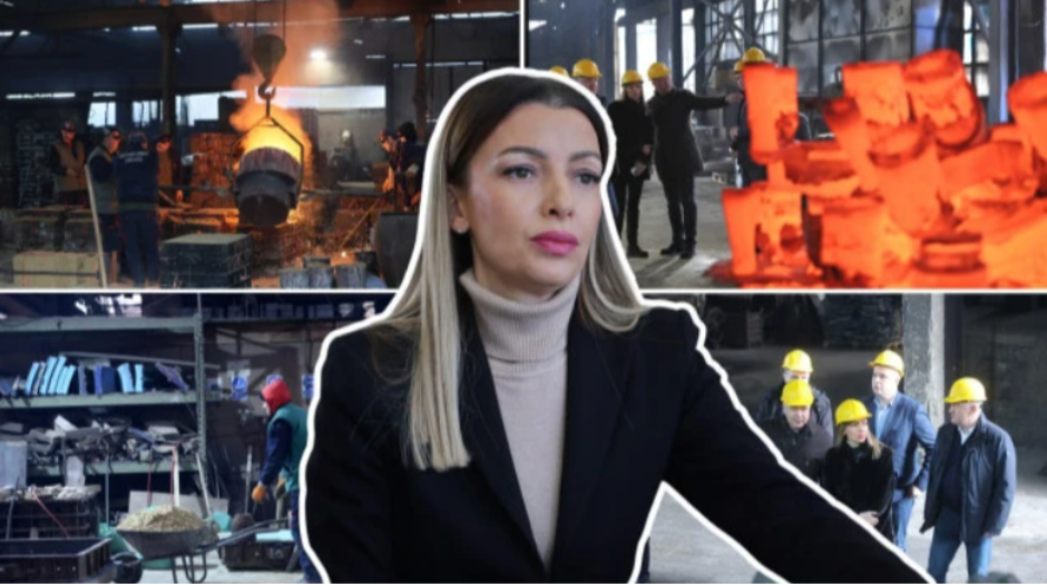 POSETA MESAROVIĆ ZAPADNOJ SRBIJI: Razgovori sa privrednicima