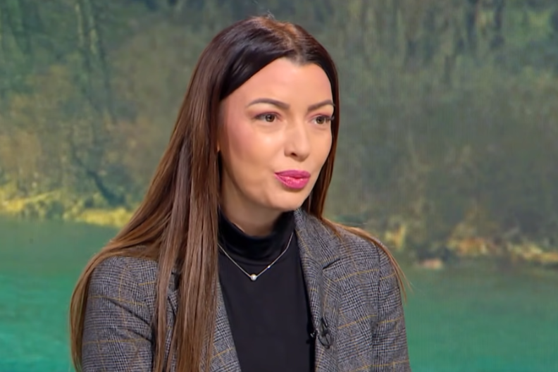 TO JE PATOLOŠKA MRŽNJA Mesarović o napadima Đilasa na Miloša Vučevića