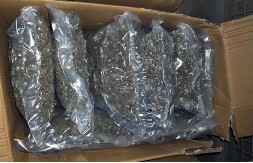 ZAPLENA DROGE  Velika akcija beogradske policije (VIDEO)