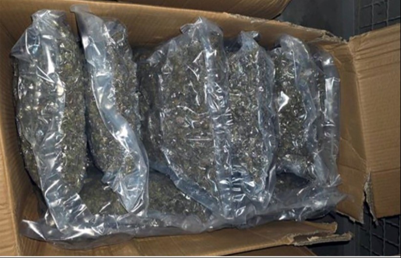 ZAPLENA DROGE  Velika akcija beogradske policije (VIDEO)