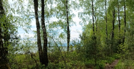 POZNATI MUŠKARAC (25) PRONAĐEN MRTAV U ŠUMI Zadobio udarce tvrdim predmetom! 