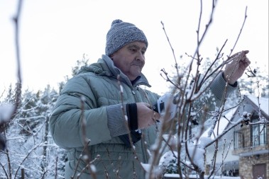 6 biljaka koje treba orezati baš sada, na zimu: Niko ih ne sređuje u januaru, jer ne znaju koliko to one vole