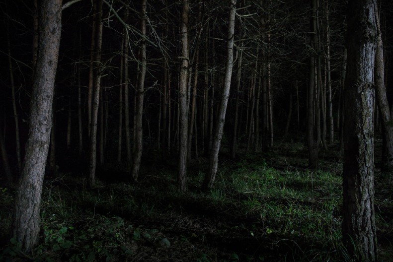 SRBIN NAIŠAO NA JAKO OPASNU ZVER, A ONDA SE DESILO NEŠTO NEOČEKIVANO Sada mu je to ljubimac! (VIDEO)