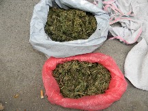 TINEJDŽER VALJAO DROGU PORED OSNOVNE ŠKOLE U MIRIJEVU Bacio paketić, ali mu je nađen ŠTEK U ŠUMI