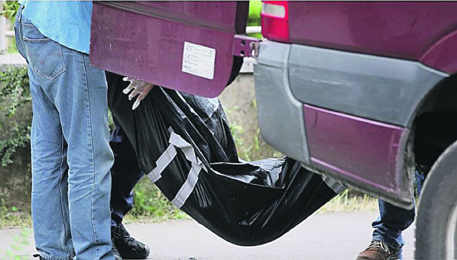 SIN UBIO MAJKU SA VIŠE UBODA NOŽEM Zločin u Novom Sadu