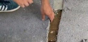 U KUĆI IM JE SMRDELO KAO DA JE NEŠTO UGINULO Kada su uklonili tepih i videli šta je ispod, umalo se onesvestili od šoka! (VIDEO)