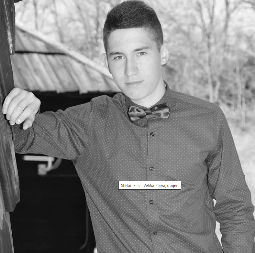 SMANJENE KAZNE ZA UBISTVO STEFANA FILIĆA Zar će moje dete biti samo broj nekog sudskog spisa"