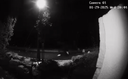 POJAVO SE SNIMAK IZ KOMŠILUKA KOJI LEDI KRV U ŽILAMA Iz mraka zaskočio ženu, usledio je horor!