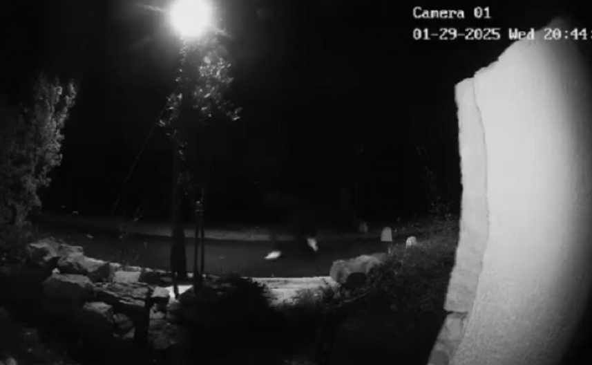 POJAVO SE SNIMAK IZ KOMŠILUKA KOJI LEDI KRV U ŽILAMA Iz mraka zaskočio ženu, usledio je horor!