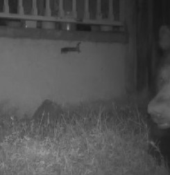 POŽAR IM ZAMALO UNIŠTIO KUĆU, A ONDA JE STIGLA JOŠ ŠOKANTNIJA VEST ''Gospodine, on je ispod, morate ga ukloniti!'' (VIDEO)