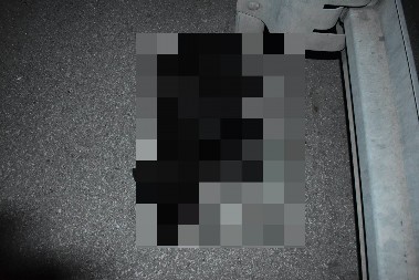 SRĐAN MILIVOJEVIĆ PREGAZIO PSA! Jezive slike sa mesta nesreće! Policiju zvao da utvrde štetu na njegovim kolima, a kukao na sav glas kad je hitna pomoć to slučajno uradila (FOTO)