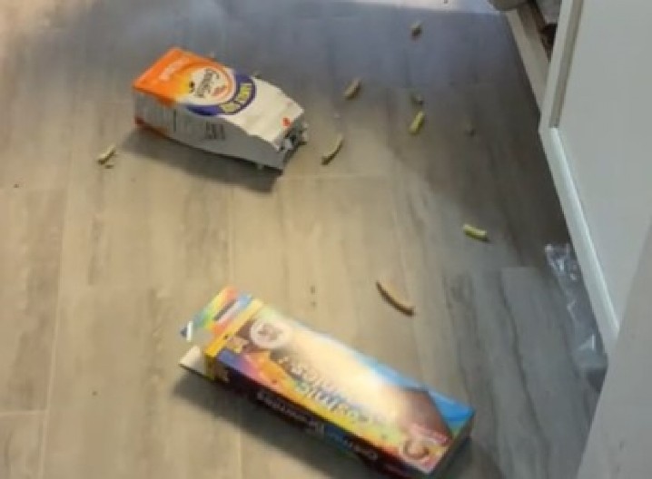 UHVAĆENA NA DELU, MAMA SE OKRENULA SAMO NA SEKUND Devojčica pronašla skriveni ormarić sa slatkišima – njena reakcija je totalni hit! (VIDEO)