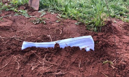 HEKTAR ZEMLJE NIKAD JEFTINIJI Cena zemlje u Srbiji jako zaostaje za evropskim prosekom, kvadrat i za 50 evra