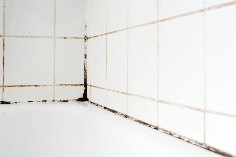 BUĐ ĆE NESTATI SA FUGA ZA 30 MINUTA Ne treba vam ni sirće ni soda bikarbona, ovaj proizvod čini čuda!