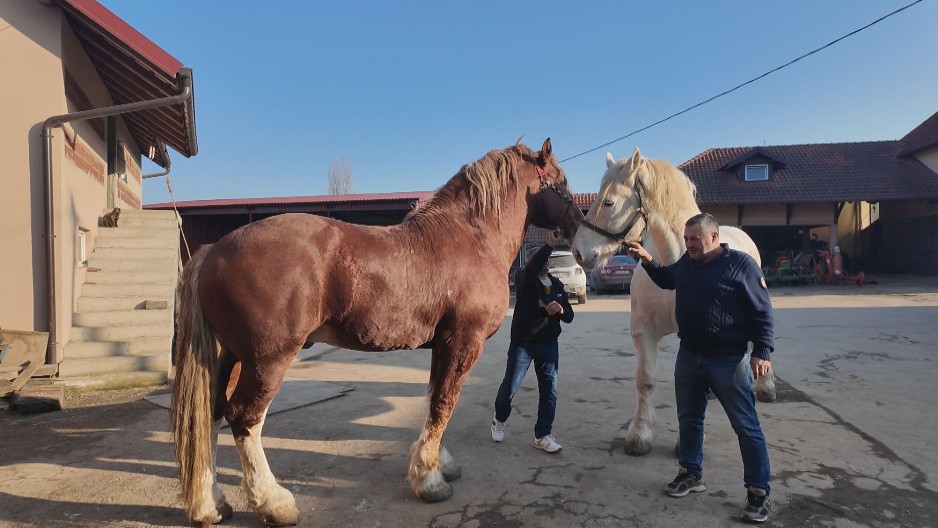 OD SIROMAŠNOG MLADOG RABADŽIJE DO VELIKOG DOMAĆINA Simu iz sela Greda svi znaju zbog ovoga