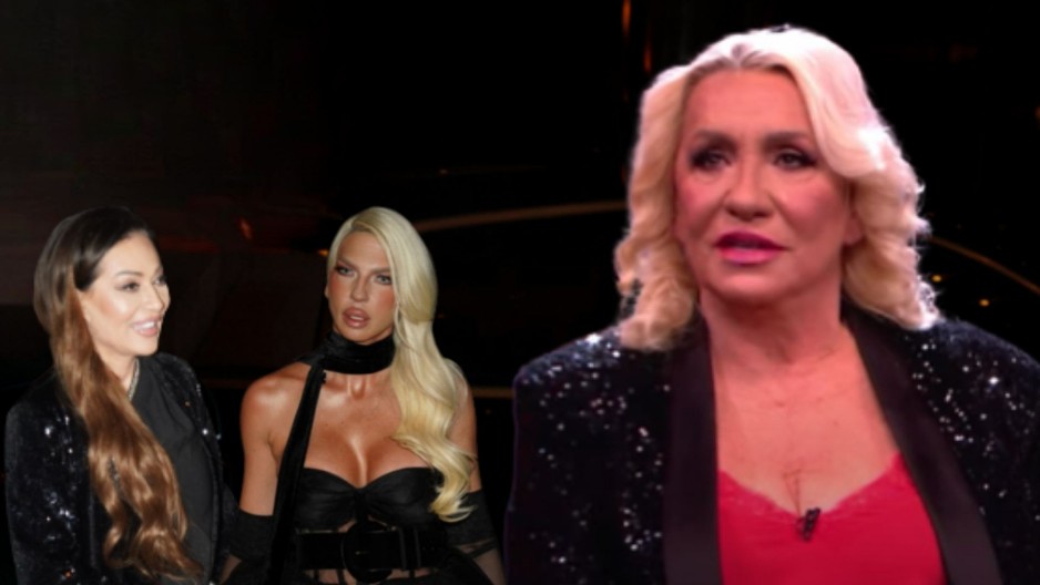 "OTELI SU MI HIT I DALI GA CECI" Vesna Zmijanac šokirla otkrićem, pa spomenula i Jelenu Karleušu: "Jako je teško sve kroz šta ona prolazi!"