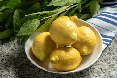 SLAVICA JE ZABOLA LOVOROV LIST U LIMUN Rezultat je oduševio, sada stalno koristi ovaj trik!