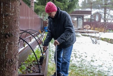 Lagano ih možete zasaditi u žardinjere i saksije već početkom februara: Koje biljaka treba posaditi u zimu da bi na proleće rasle kao iz vode
