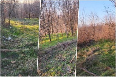 Celo imanje u Šumadiji za 4.000 evra: Može i na rate, ali postoji caka