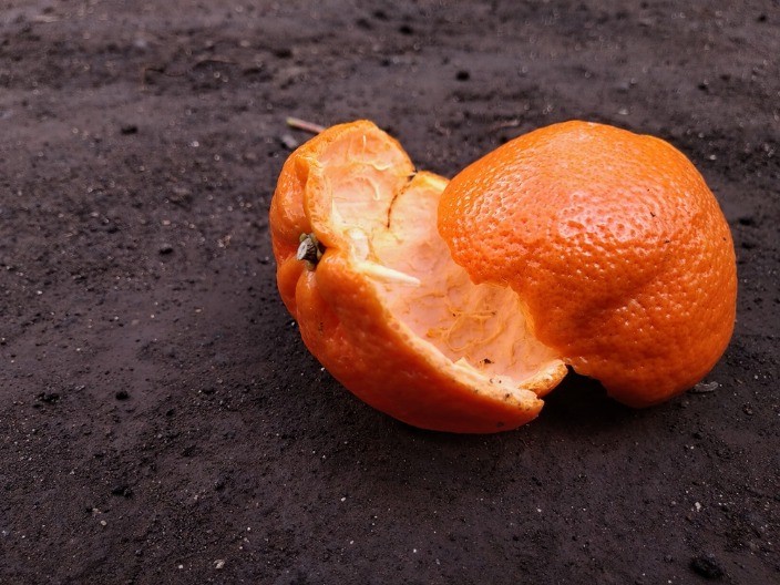 NE BACAJTE KORU OD POMORANDŽE Stavite je na šporet i gledajte šta se dešava - za ovaj trik su znale i naše bake