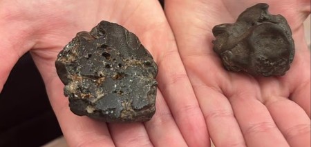 NEVEROVATNO OTKRIĆE NA PLAŽI Devojčica mislila da je običan kamen – a onda je otkrila PREDMET KOJI LEDI KRV!