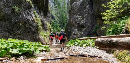 VELIKI USPEH SRBIJE Tri nacionalna parka na putu ka Unesko listi!