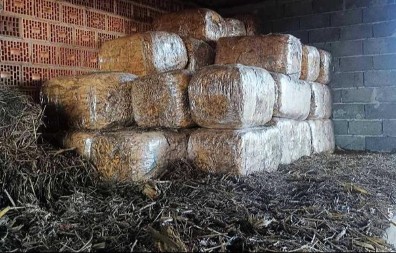 U ŠTALI MU NAŠLI TRI TONE DUVANA Hapšenje u Šapcu (FOTO)