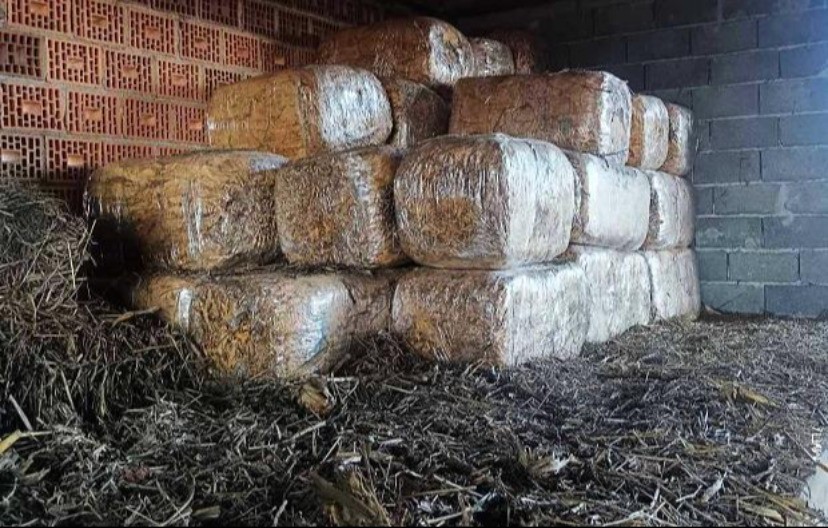 U ŠTALI MU NAŠLI TRI TONE DUVANA Hapšenje u Šapcu (FOTO)