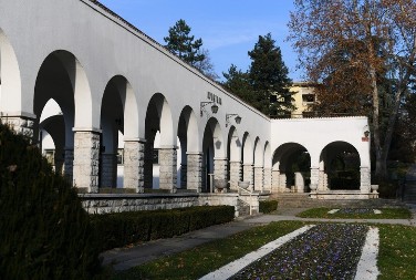 Njena lekovita voda spada među vode sa najznačajnijim terapeutskim efektima u Evropi - ova srpska banja bila je jedna od omiljenih mesta Dositeja Obradovića