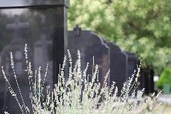 JKP „POGREBNE USLUGE“ BEOGRAD PODSEĆA SUGRAĐANE NA OBAVEZU ODRŽAVANJA SPOMENIKA NA PORODIČNIM GROBNIM MESTIMA