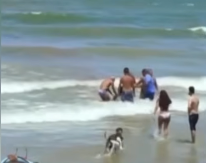 DEČAKA ŠČEPALA MORSKA NEMAN, LJUDI USKOČILI U KRVAVU VODU DA GA IZVUKU: Horor scena u Olindi (VIDEO)