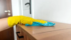 Ujna mi se žali kako briše prašinu svaki dan, a ne zna da uz par kapi ovog sastojka neće morati 10 dana da pipne krpu