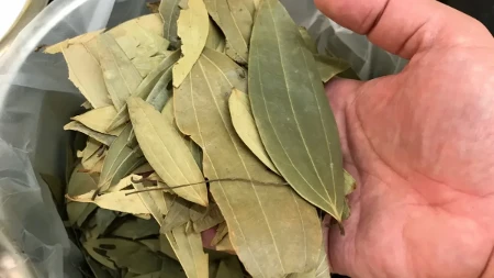 Stavite list lovora porwd grejalice i efekat će vas zaprepastiti: Banalno prost trik koji menja sve u kući čim počne grejna sezona