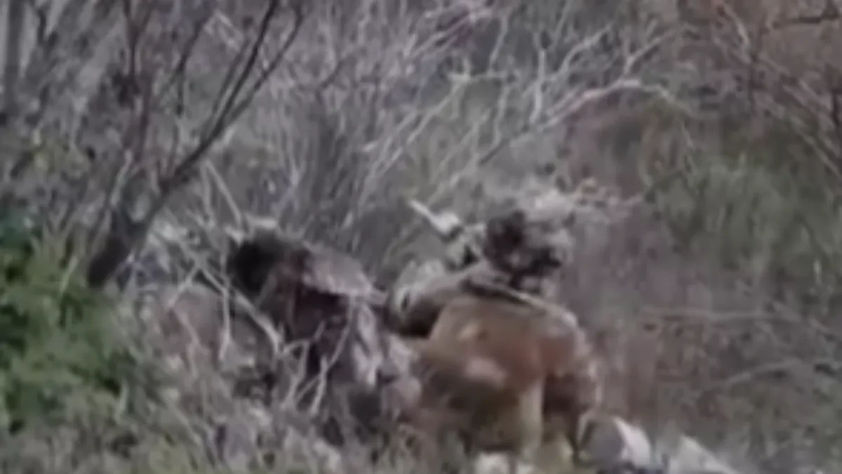 Strani plaćenici odbili direktno naređenje! Šok vest sa fronta