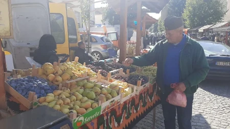Ovo su naši omiljeni dani u godini, ljubav se prenosi sa kolena na koleno: Hiljade ljudi tokom tri dana Oplenačke berbe prošlo kroz Topolu 