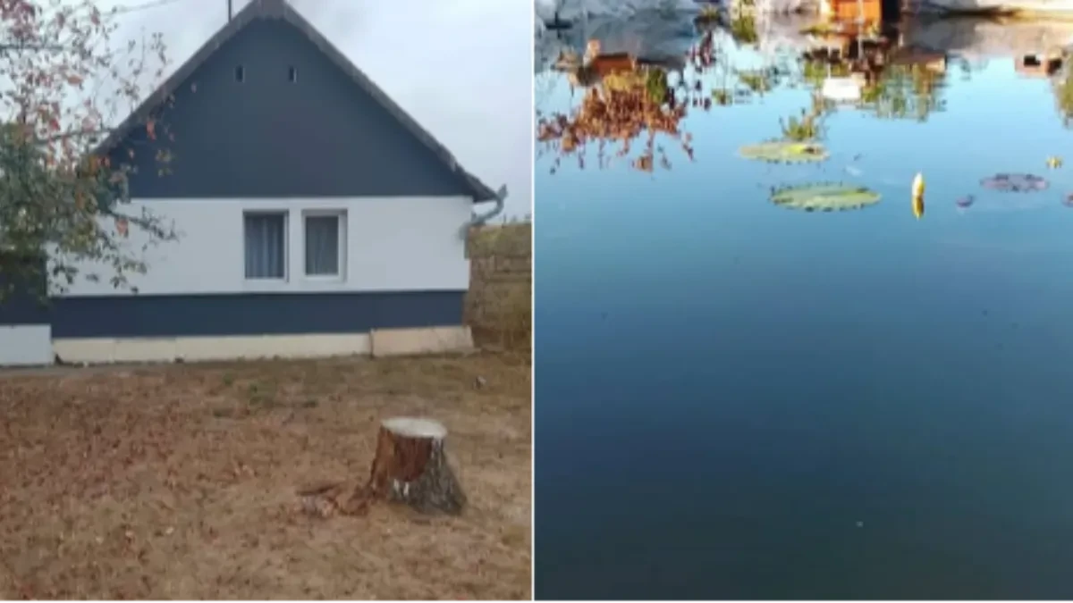 Kuća za 17.000 evra, a u dvorištu pravo malo jezero! Vlasnik otkrio šta sve dobija kupac, oglas privukao pažnju
