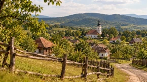 Kuća i 10 hektara kod Lučana: Dve godine bez kirije, domaćin predlaže i alpake