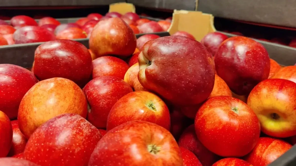 Nemojte bacati višak jabuka - uradite ovo i produžite im rok trajanja