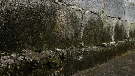 Vraća se u upotrebu stara fora za vlagu u podrumu: Ovako su naše bake i deke rešavali smrad!